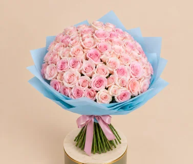 Pink Rose Bouquet with Blue Wrap | 100 Roses 2