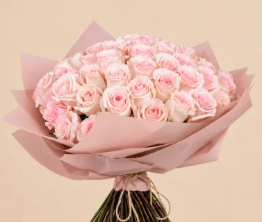 Pink Rose Bouquet with Pink Wrap | 50 Roses 3