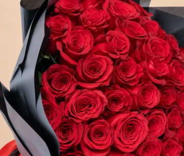 Red Rose Bouquet with Black Wrap | 100 Roses 4
