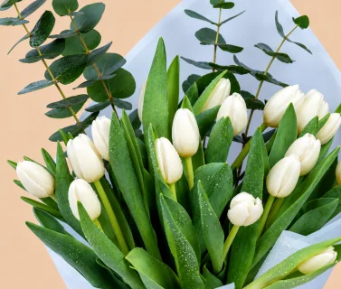 White Tulip Bouquet with Eucalyptus | 15 Tulips 4