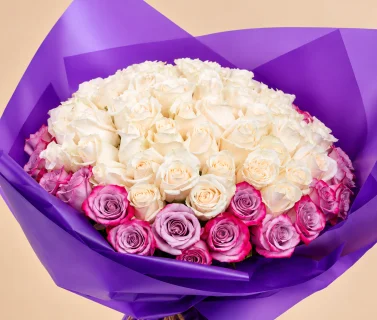 White & Pink Rose Bouquet with Purple Wrap | 100 Roses 3