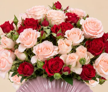 Red & Light Pink Roses in Pink Vase 4