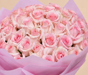Pink Rose Bouquet with Pink Wrap | 50 Roses 4