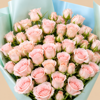 Pink Rose Bouquet with Blue Wrap | 100 Roses 3