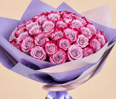 Light Purple Rose Bouquet with Pink Edges | 50 Roses 3