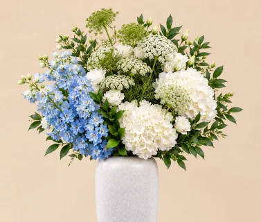 White Hydrangea & Blue Delphinium in White Vase 3