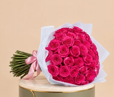 Deep Pink Rose Bouquet with White Wrap | 25 Roses 2